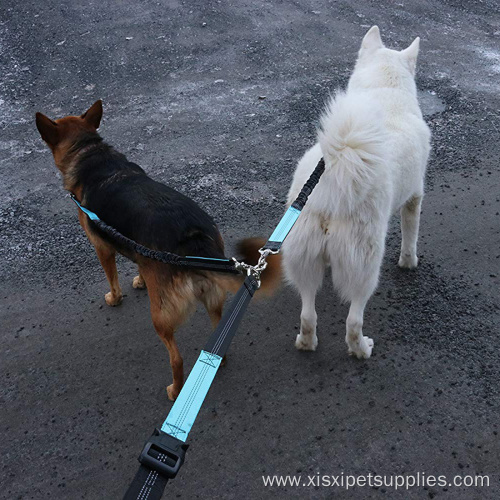Dog Leash for Medium &Large Dogs